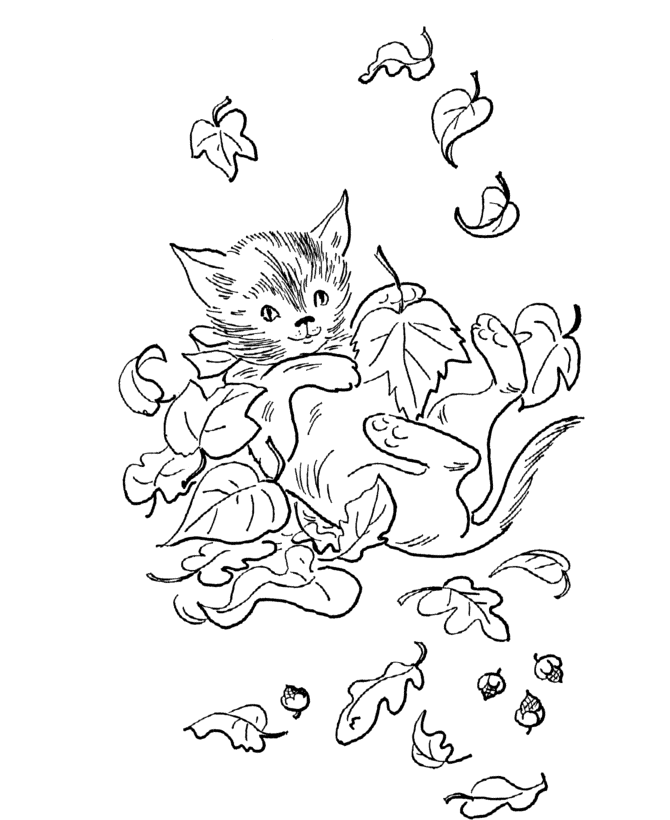 A Kitten Playing in the Fall Leaves