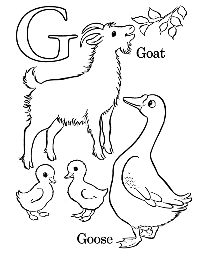 Alphabet Coloring pages - Letter G 