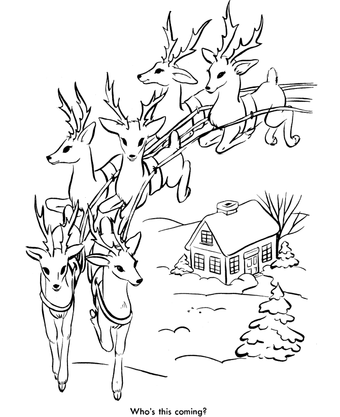 Santa's Reindeer