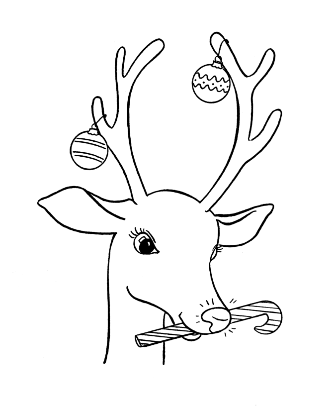 Rudolph Reindeer