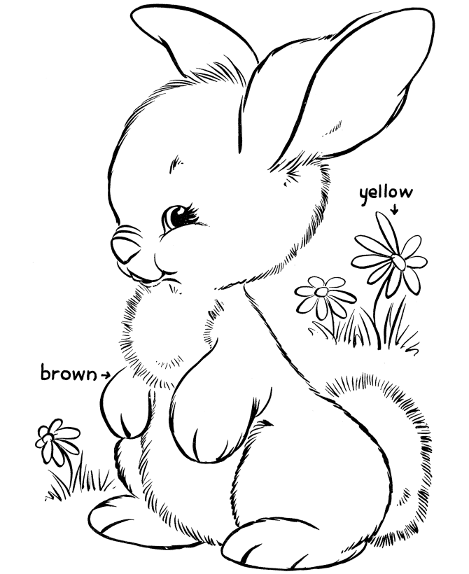 Easter Bunny Coloring page | cute bunny 