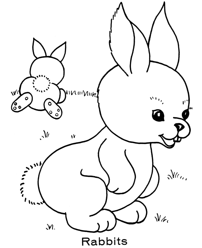 Easter Bunny Coloring page | pair of bunnies