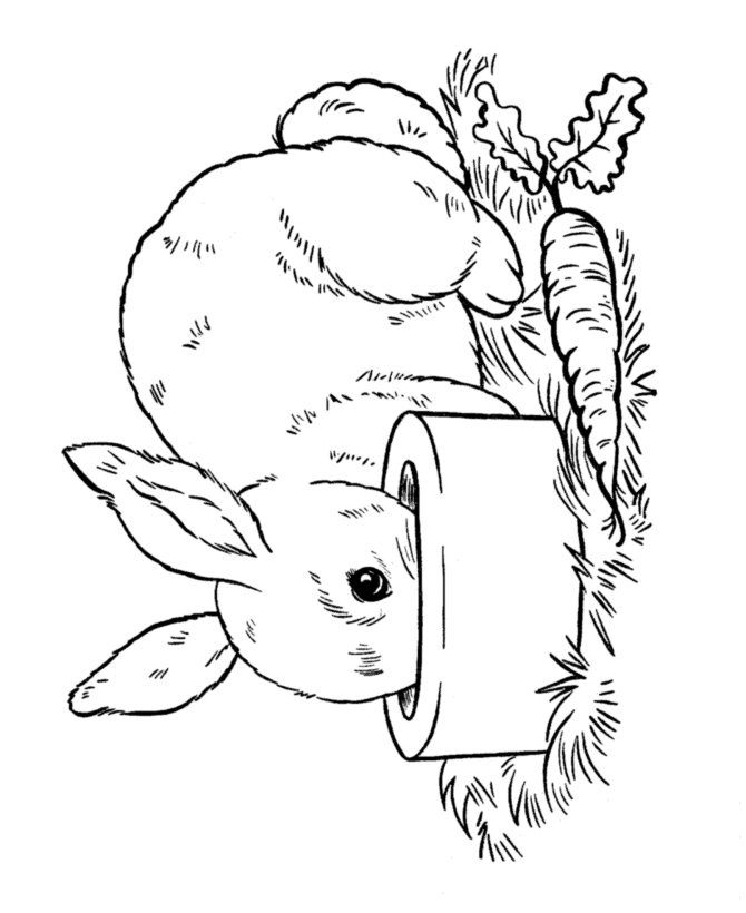 Easter Bunny Coloring page | Pet Bunny