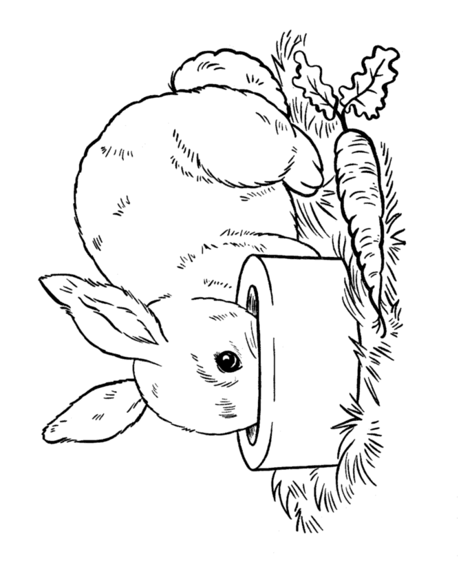 easter bunnies coloring pages. Easter Bunny Coloring page