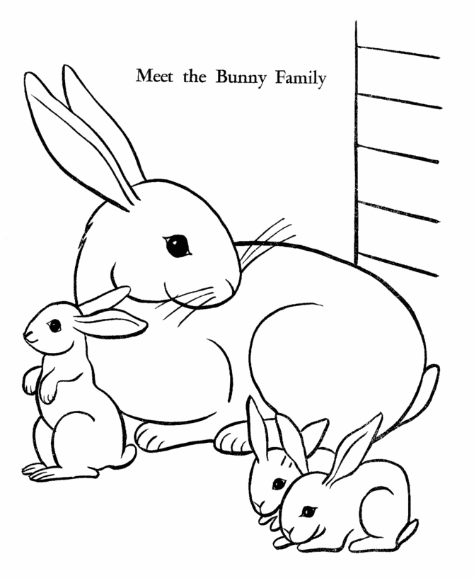Easter Bunny Coloring page | Bunny Family