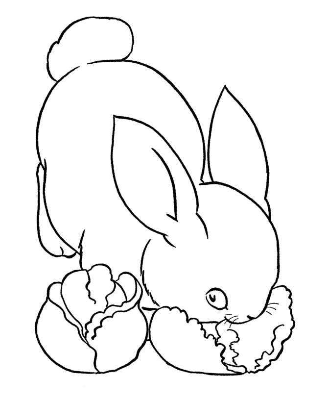 Easter Bunny Coloring page | Bunny Pet