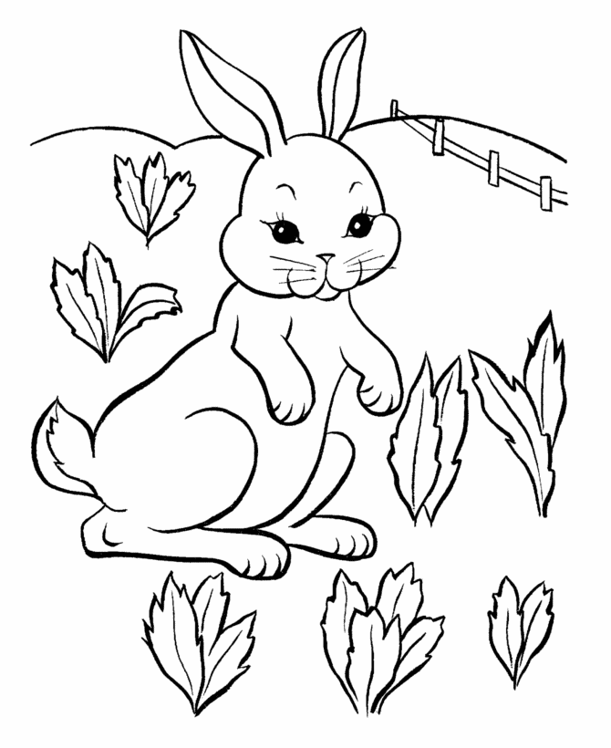 Easter Bunny Coloring page | Field Bunny 