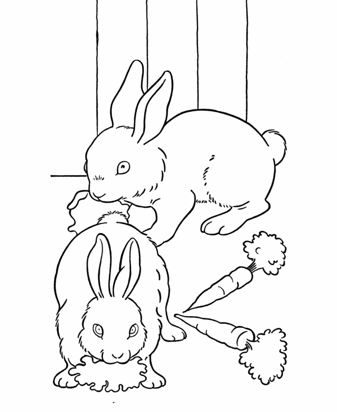 Easter Bunny Coloring page | Bunny Pair 