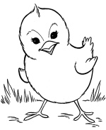 Easter Chicks Coloring Pages 