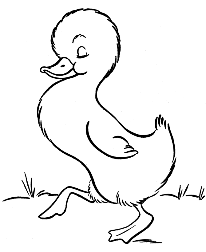 Easter Chicks Coloring page | Cute baby duck