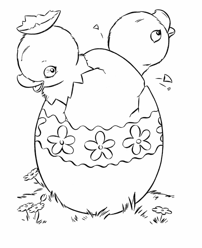 Easter Chicks Coloring page | Hatching baby chicks