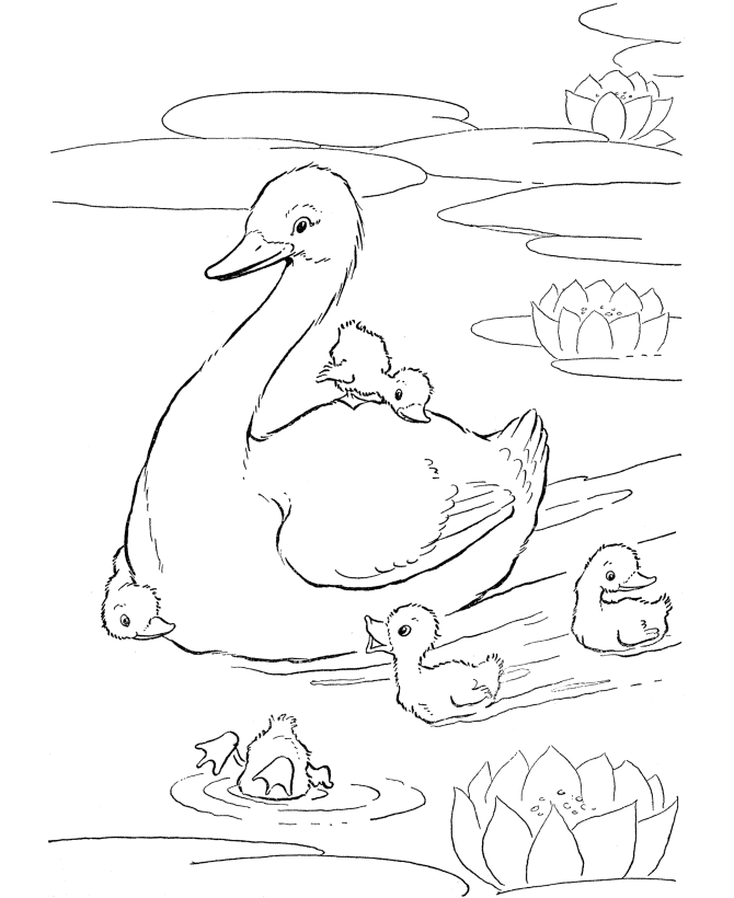 Easter goose Chicks Coloring page