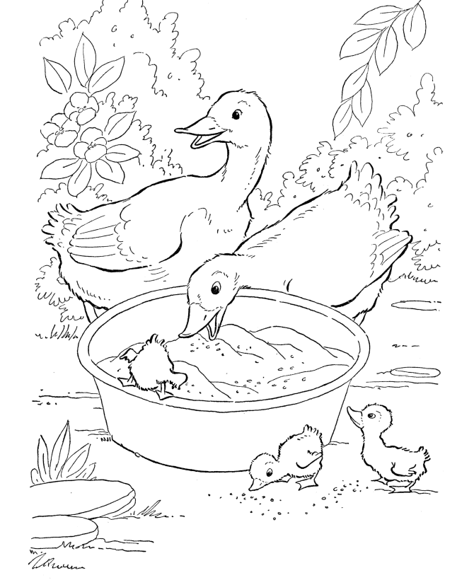 Easter Chicks Coloring page | Farm geese chicks