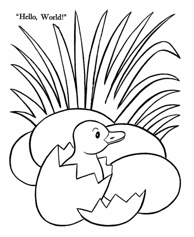 baby chick hatching coloring page