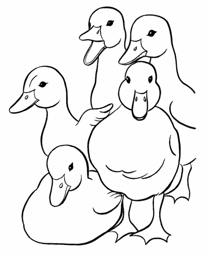 Easter Ducks Coloring page | A family of ducks 