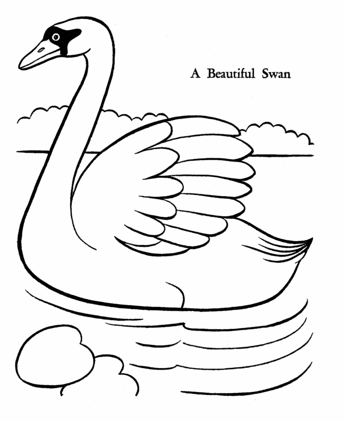 Easter Ducks Coloring page | beautiful Swan for Easter coloring