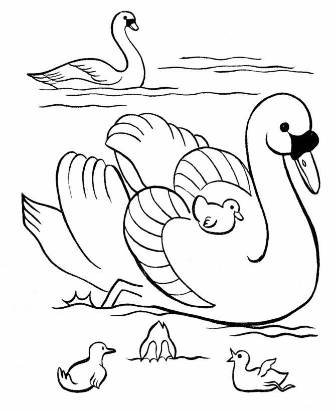 Easter Ducks Coloring page | Swan Family on the Pond 