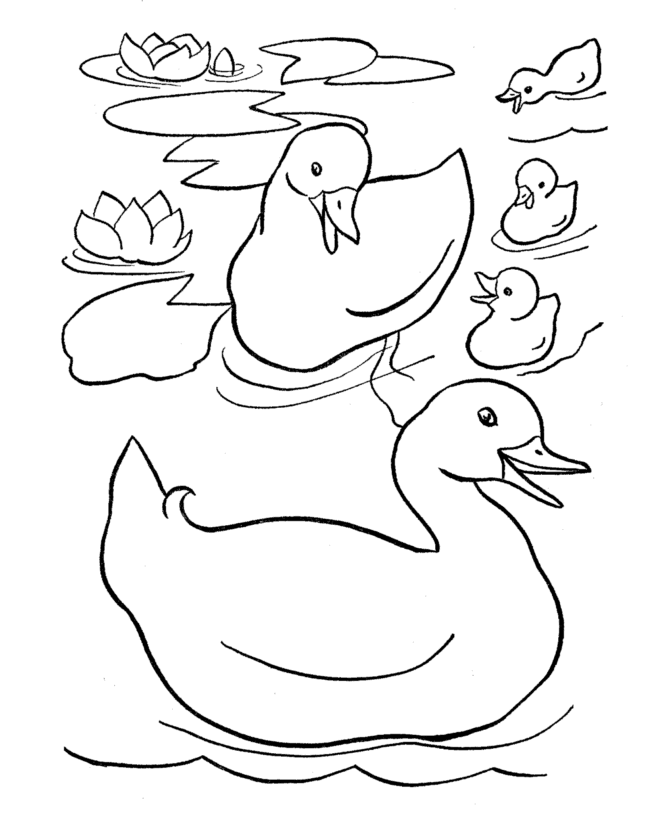 Easter Ducks Coloring page | Family of ducks on the pond