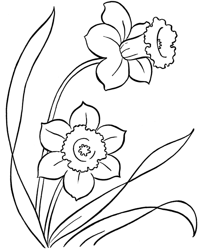 Easter Kids Fun Coloring page | Easter daffodils flowers
