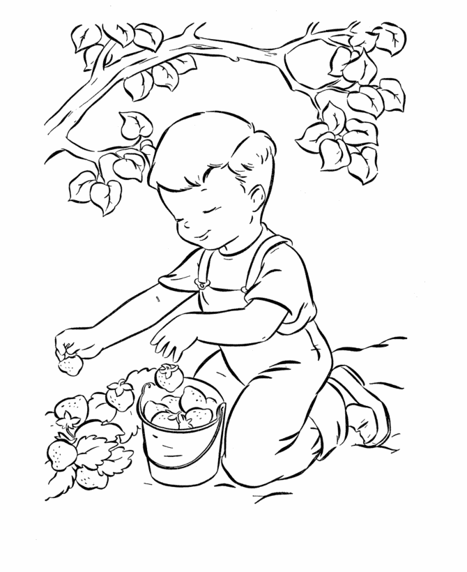 Easter Kids Fun Coloring page | Boy picking Easter strawberries