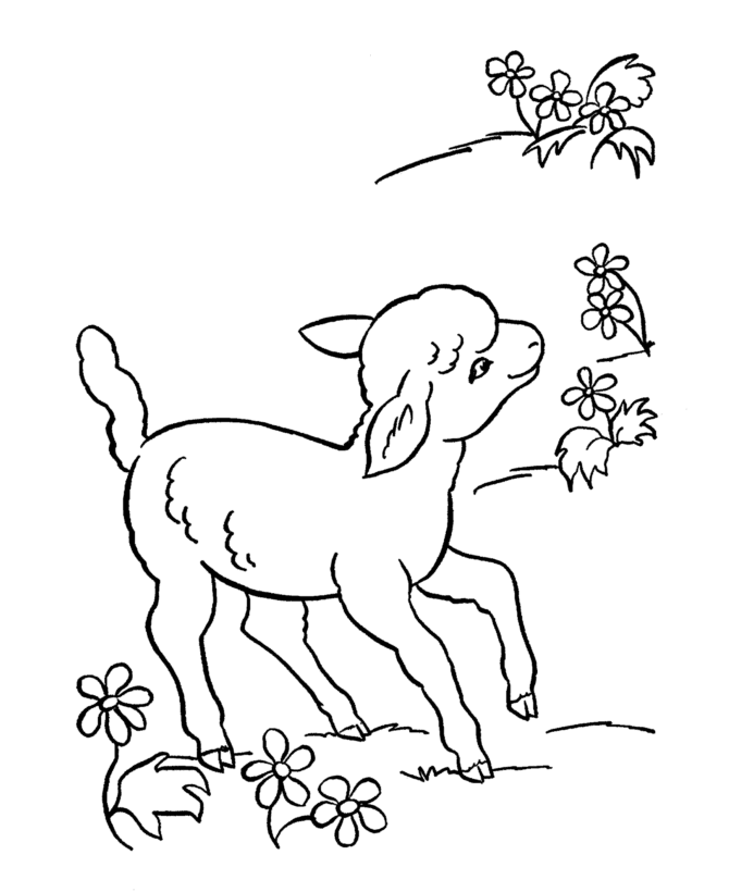 Easter Lamb Coloring page | little lamb in a field with flowers