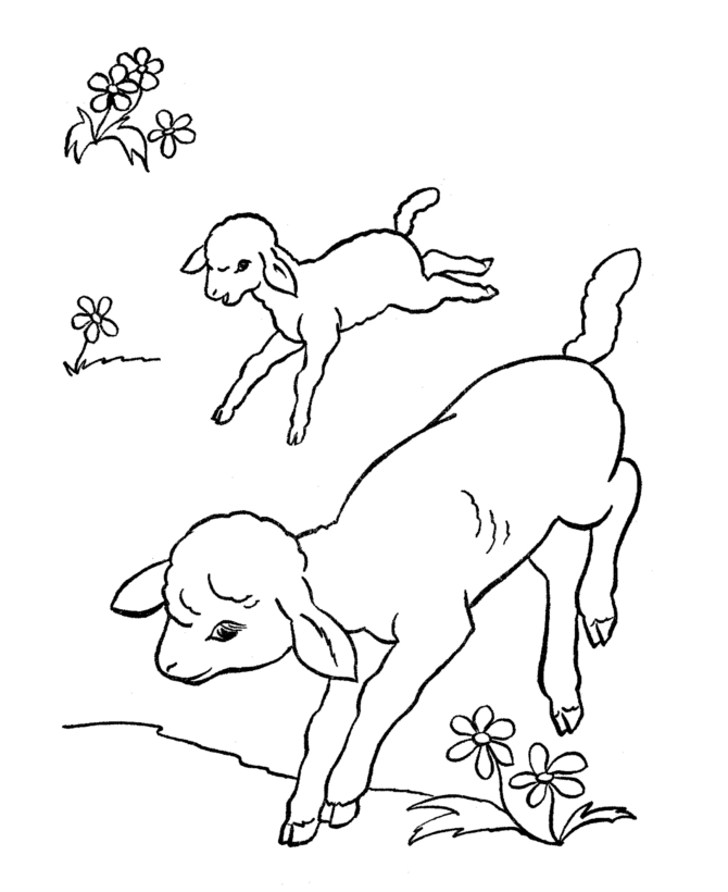 Easter Lamb Coloring page | two lambs playing in a field