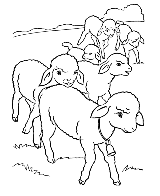 Easter Lamb Coloring page | a flock of little lambs all in a row