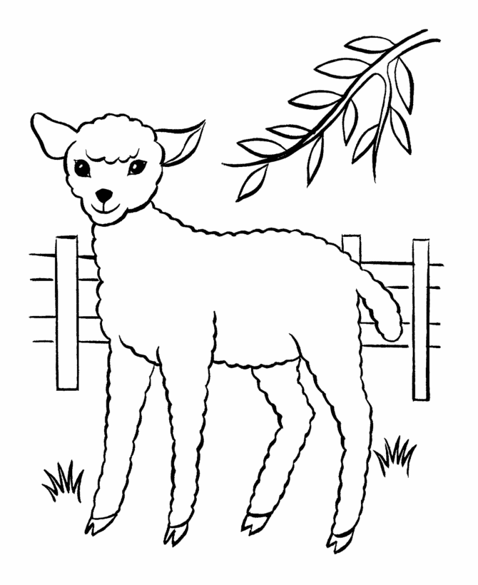 Easter Lamb Coloring page | cute lamb in a field.