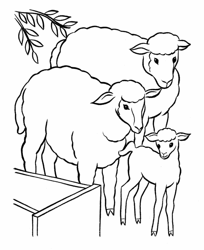 Easter Lamb Coloring page | Family of sheep and baby lamb