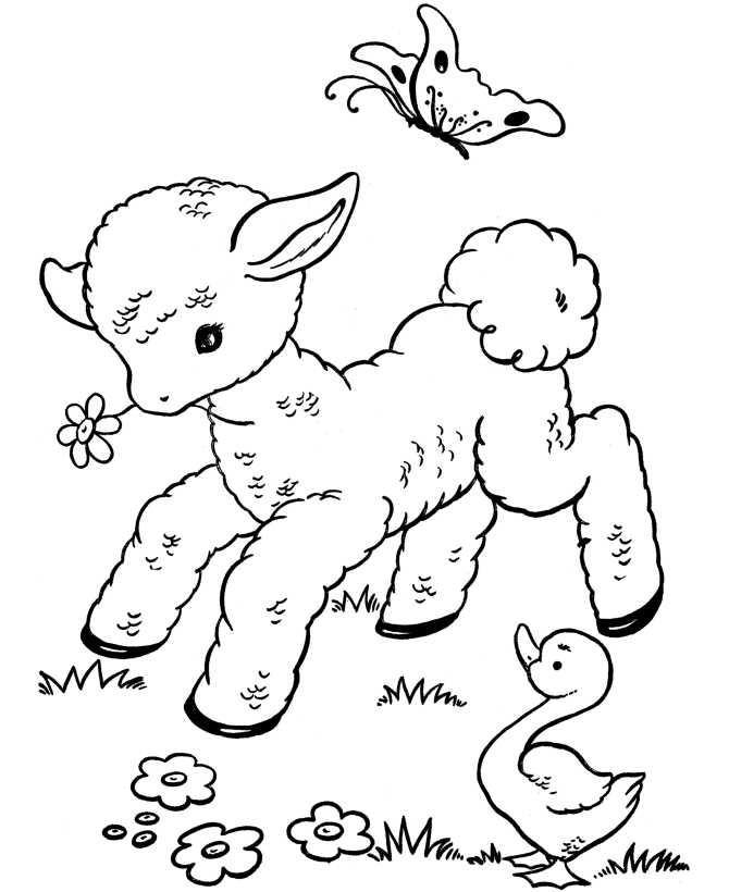 Easter Lamb Coloring page | baby lamb and a duck in the spring