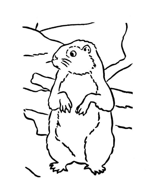 Groundhog Day Coloring page