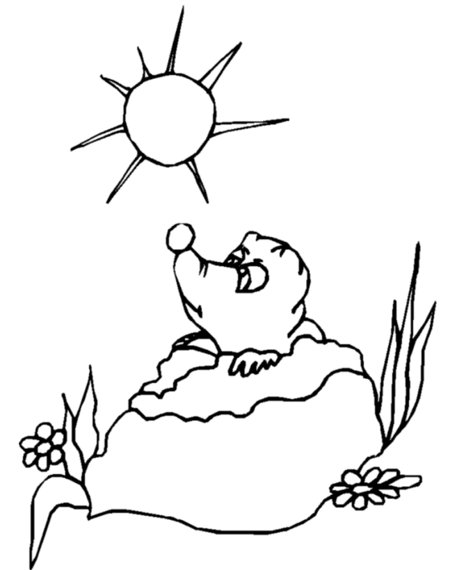 Groundhog Day Coloring page