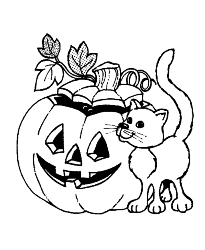 Halloween Pumpkin and Cat Coloring page