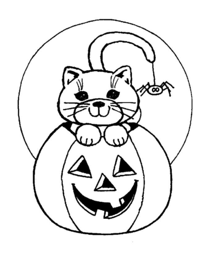 Scary Halloween Cat and Spider Coloring pages
