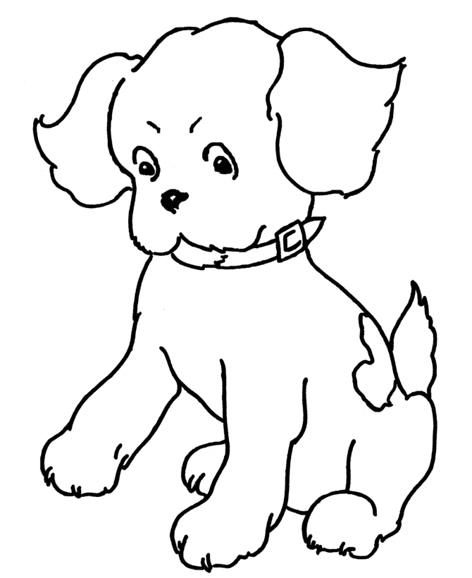 simple dog cat coloring pages - photo #4