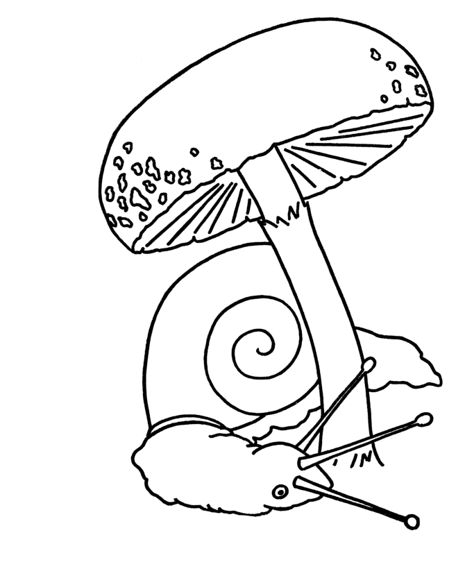 Mushroom and Snail