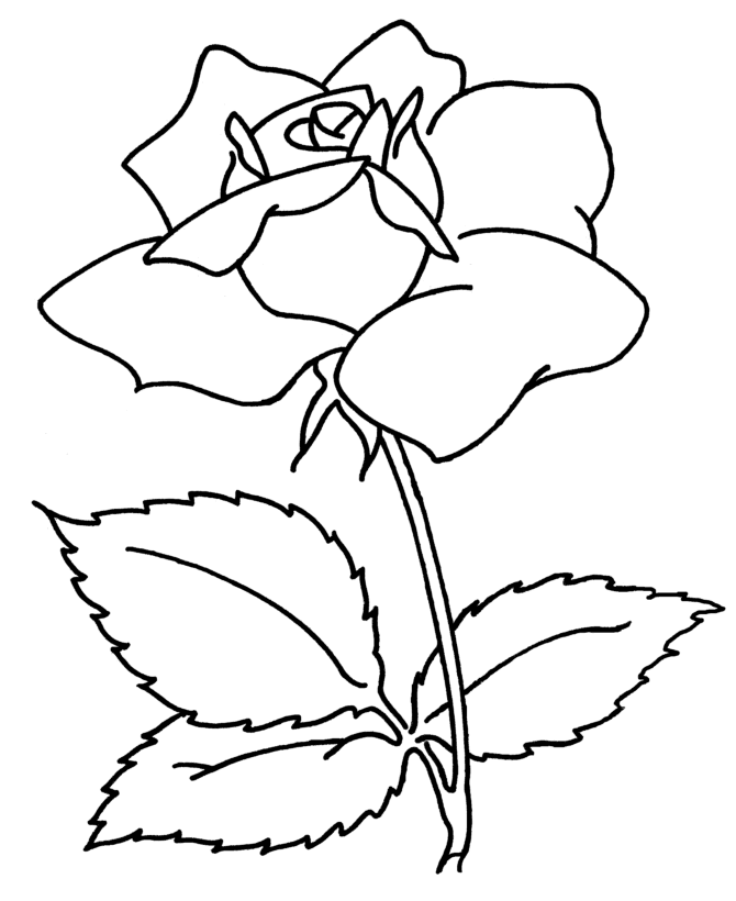 Bluebonkers : Rose flower - Simple Objects to Color