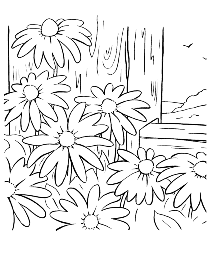 Spring Scene coloring page