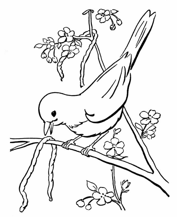 Early Bird coloring page