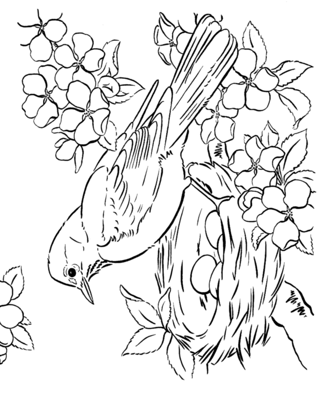 Spring Scene coloring page