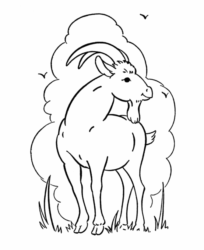 Spring Goat coloring page
