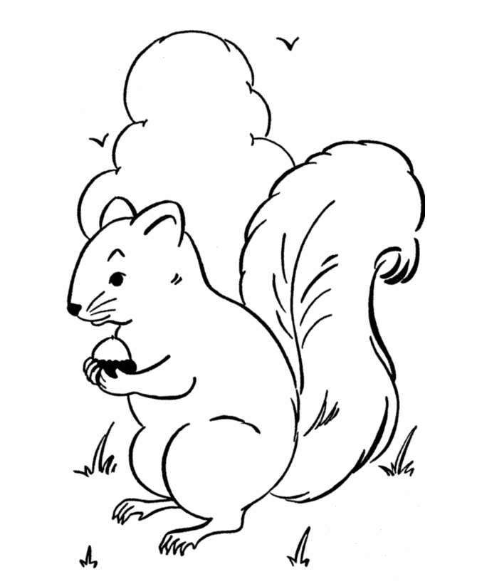 Spring Squirrel coloring page