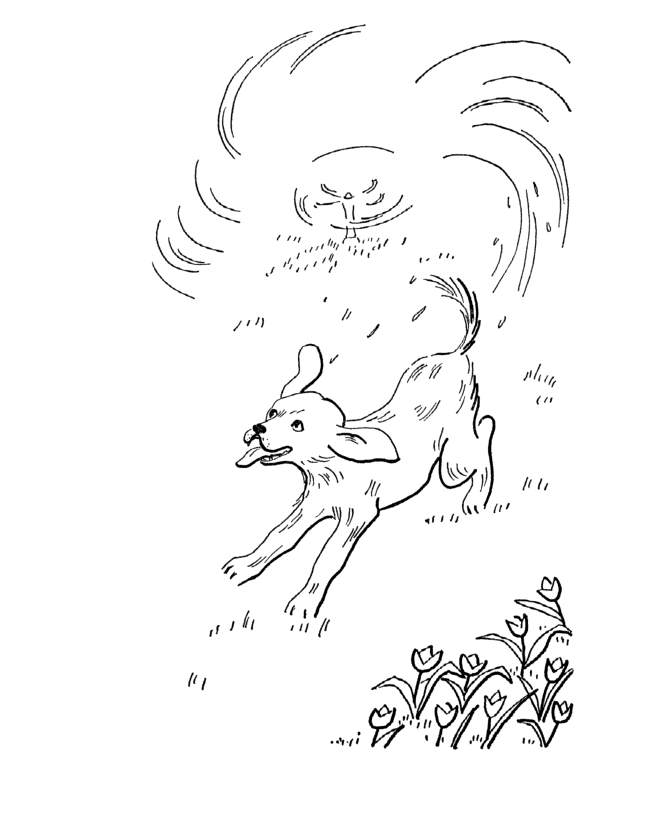 Summer Activity coloring page - Dogs play in a sprinkler