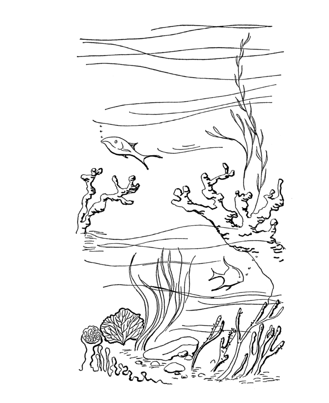 Scuba Reef Diving - coloring page 