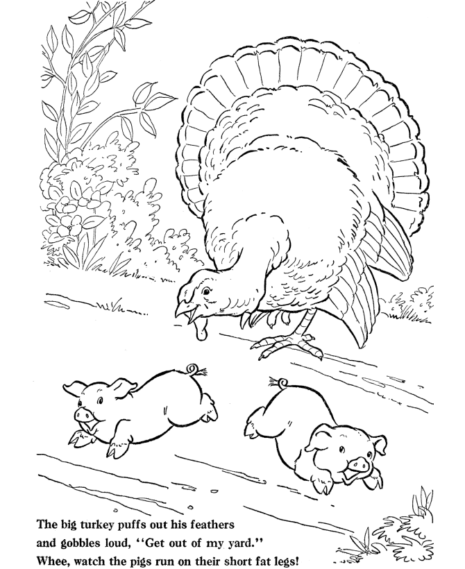 Farm Turkey chaseing Pigs -Thanksgiving Day Coloring page
