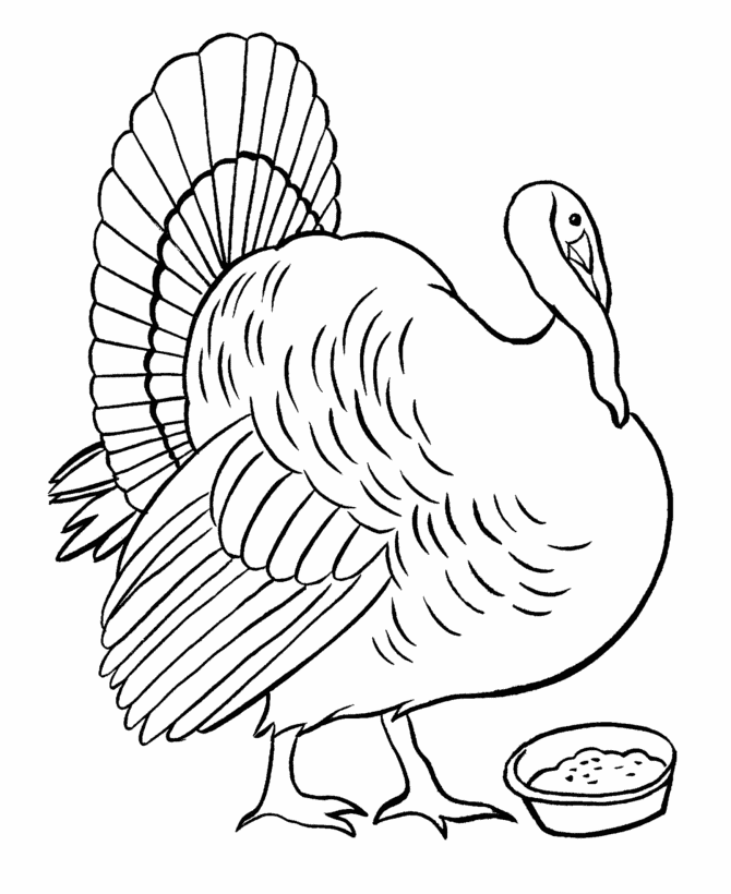 Turkey in yard with a pan of feed - Thanksgiving Day Coloring page