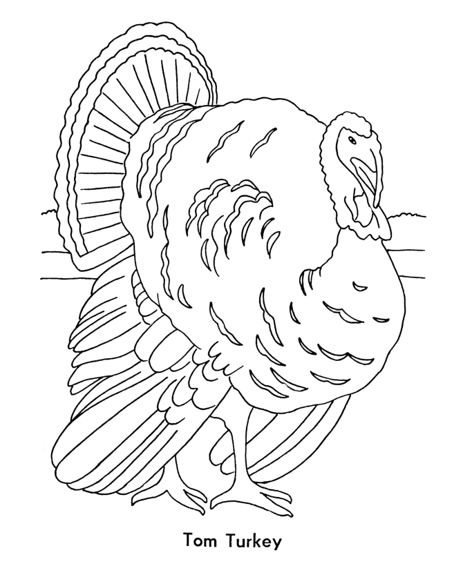 A big Tom Turkey - Thanksgiving Day Coloring page