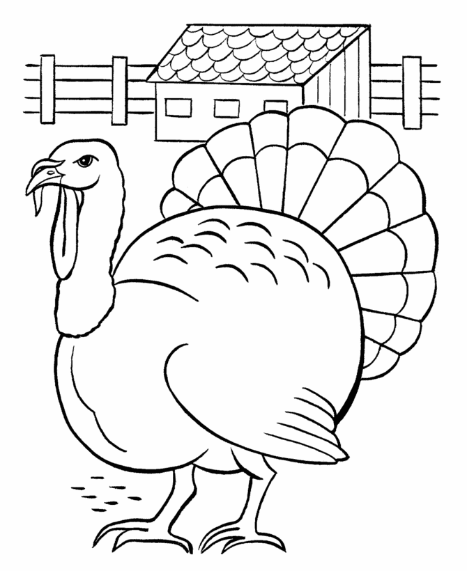 Turkey in farmyard - easy coloring - Thanksgiving Day Coloring page
