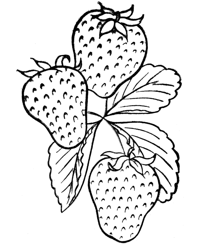  Strawberries on the vine - Thanksgiving Dinner Coloring page