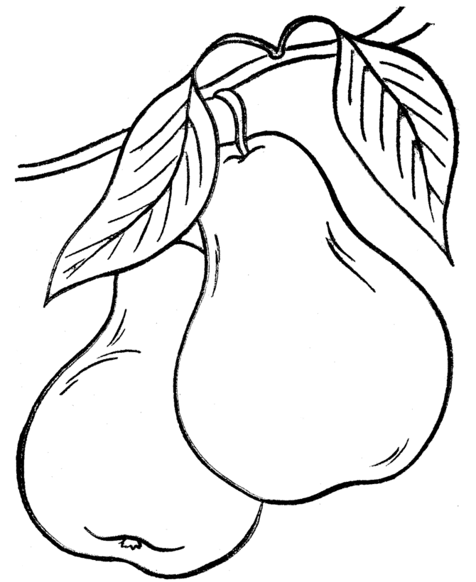  Pears in the tree - Thanksgiving Dinner Coloring page